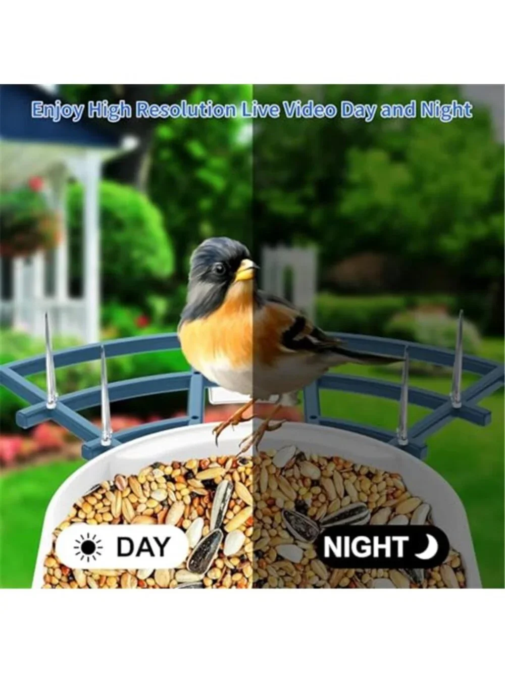 Bird Feeder with Camera,AI Identify Birds Species,Smart Bird Camera with Solar